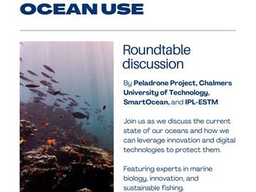 Round Table: Innovation for Sustainable Ocean Use